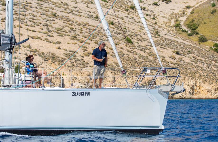 Dolphin 50
