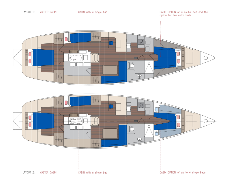 Dolphin 50