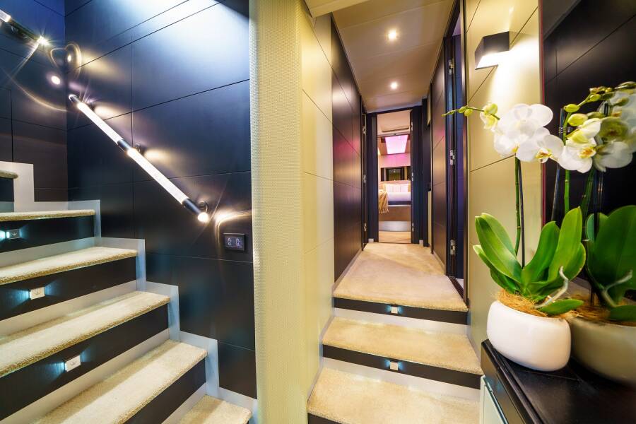 Dominator 780S Deluxe