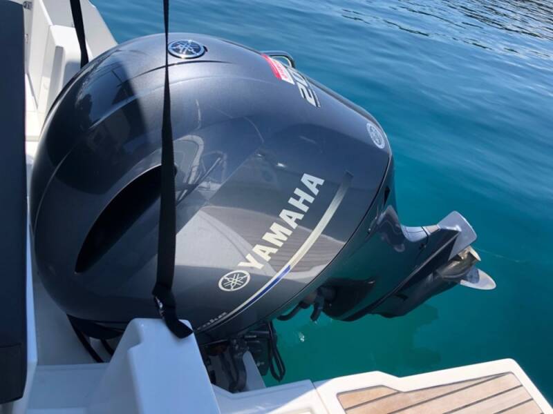 Merry Fisher 795