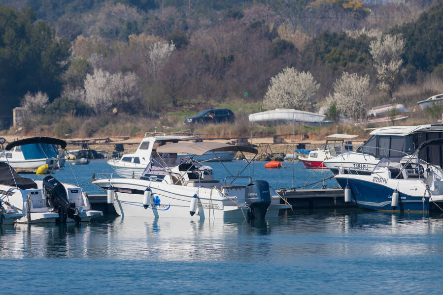 Pacific Craft 750 Sun Cruiser