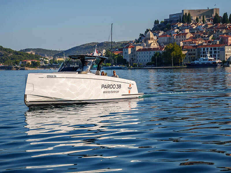 Pardo 38