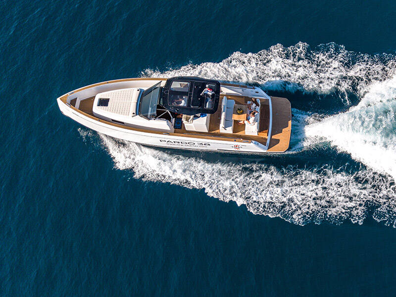 Pardo 38