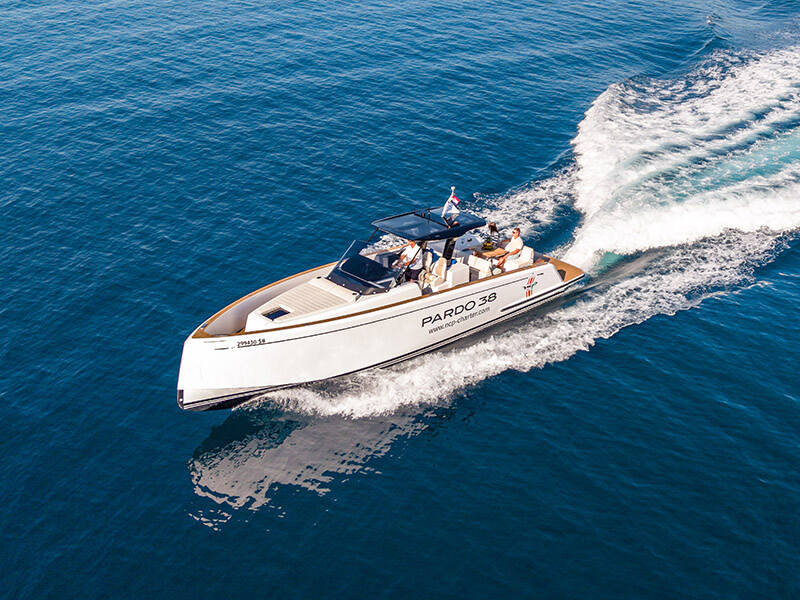 Pardo 38
