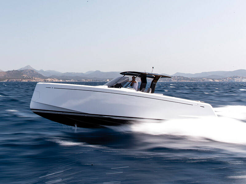 Pardo 38