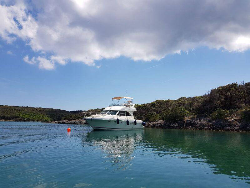 Prestige 36