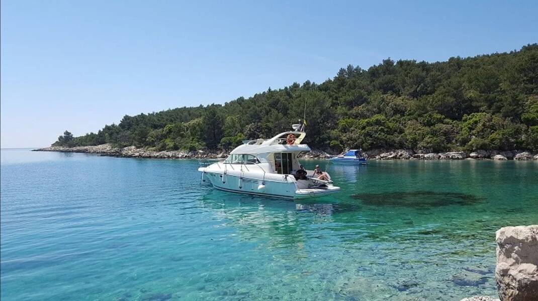Prestige 36