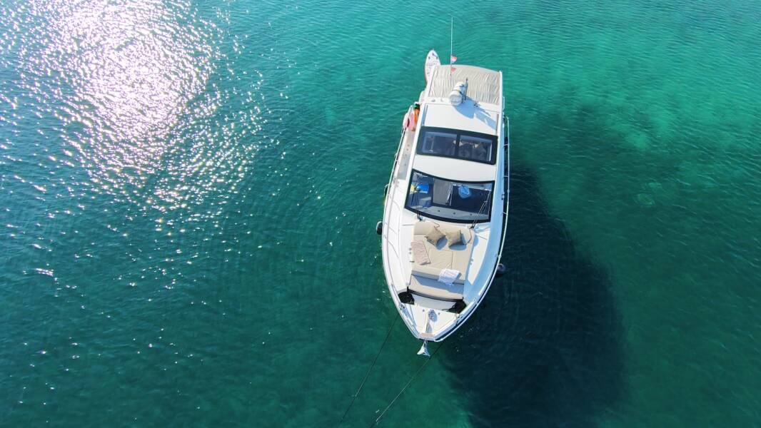 Sealine C335